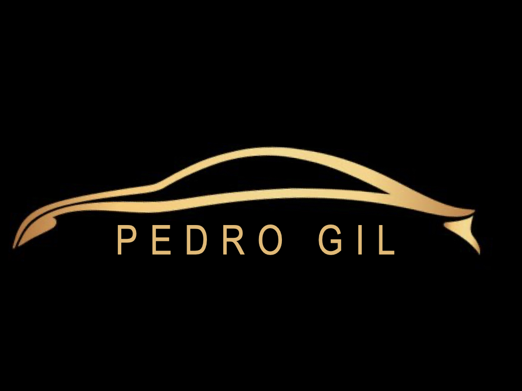 Pedro Jos Gil